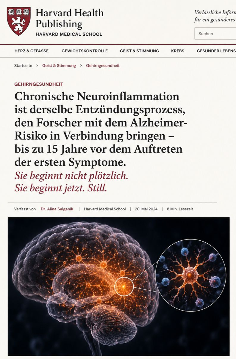 Harvard Health Publishing — Chronische Neuroinflammation